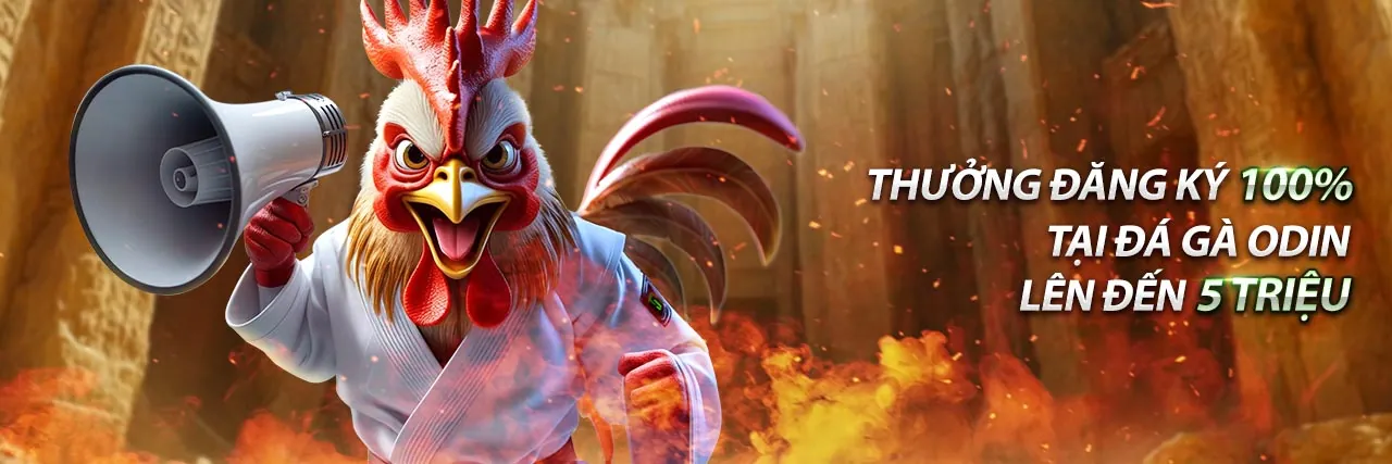 Hình ảnh minh họa chính sách cookie và bảo mật dữ liệu trên 88now đăng nhập